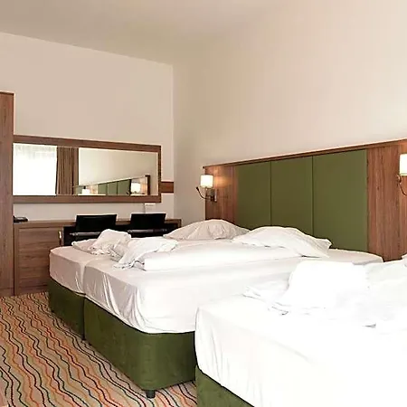 Hotel Olive